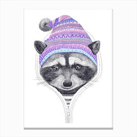 Raccoon In A Hood Canvas Print