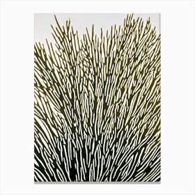 Acropora Echinata Ii Linocut Canvas Print