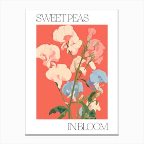 Sweet Peas In Bloom Flowers Bold Illustration 1 Canvas Print