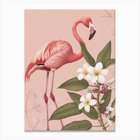 American Flamingo And Frangipani Minimalist Illustration 4 Canvas Print