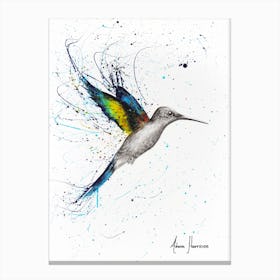 Happy Hummingbird Canvas Print