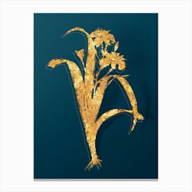 Vintage Iris Fimbriata Botanical in Gold on Teal Blue n.0054 Canvas Print