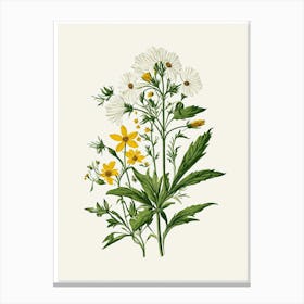 Vintage Botanical Galleria Style Wildflower Painting 3 Canvas Print