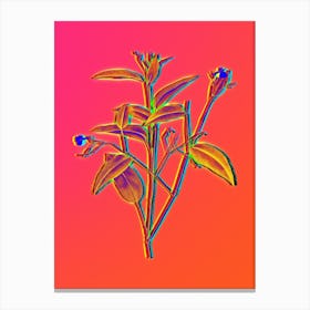 Neon Maranta Arundinacea Botanical in Hot Pink and Electric Blue n.0217 Canvas Print