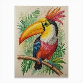 Toucan 32 Canvas Print