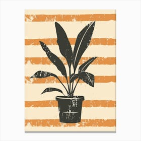 Potted Plant 37 Canvas Print