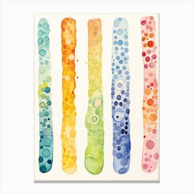Rainbow Sticks Canvas Print