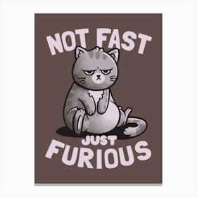 Not Fast Just Furious Canvas Print
