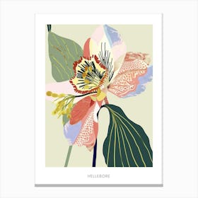 Colourful Flower Illustration Poster Hellebore 4 Canvas Print