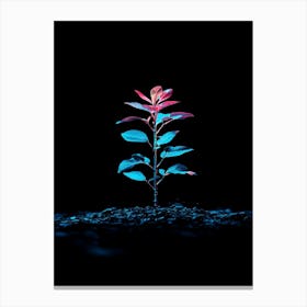 Plant In The Dark 22 Canvas Print