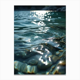 Reflection In The Water Canvas Print