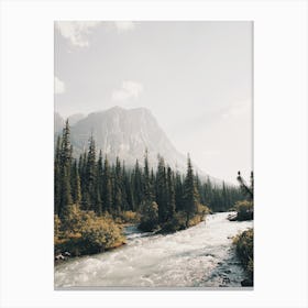 Mountain Creek Canvas Print