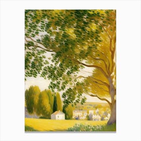 Tree In A Field Canvas Print