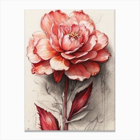 Red Rose Canvas Print