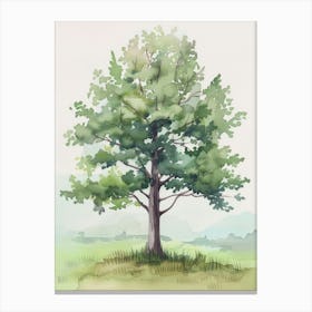 Alder Tree Atmospheric Watercolour Painting 8 Canvas Print