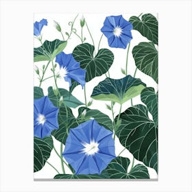 Blue Morning Glory 1 Canvas Print