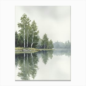 Birch Trees Canvas Print