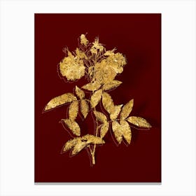 Vintage Hudson Rose Botanical in Gold on Red n.0170 Canvas Print