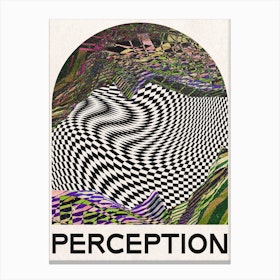 Perception Canvas Print
