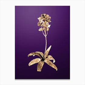 Gold Botanical Sun Star on Royal Purple n.0091 Canvas Print