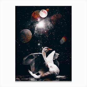 White Swan And Black Starry Sky Canvas Print