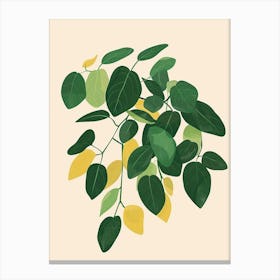 Wandering Jew Plant Minimalist Illustration 1 Canvas Print