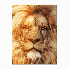 The Spirit Of The Fire Lion Canvas Print