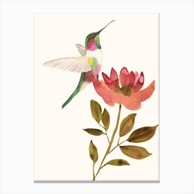 Hummingbird On A Flower Canvas Print