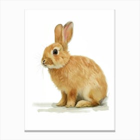 Netherland Dwarf Rabbit Nursery Illustration 1 Canvas Print
