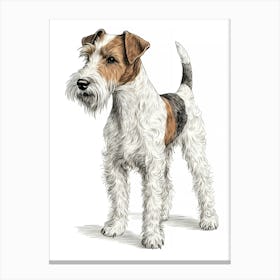 Wire Hair Fox Terrier Portrait 1 Canvas Print