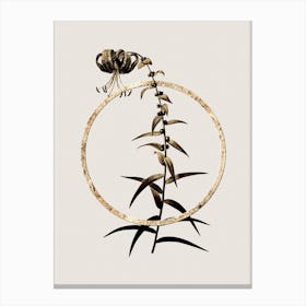 Gold Ring Tiger Lily Glitter Botanical Illustration n.0194 Canvas Print