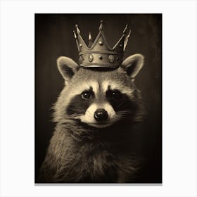 Vintage Portrait Of A Guadeloupe Raccoon Wearing A Crown 3 Canvas Print