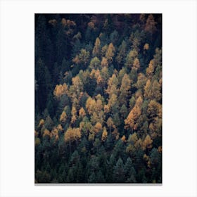 Autumn In All Its Beauty Canvas Print
