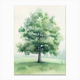 Boxwood Tree Atmospheric Watercolour Painting 2 Canvas Print