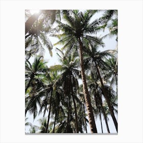 Beneath Bali's Palm Trees Canvas Print