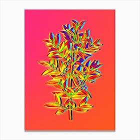 Neon Phillyrea Tree Branch Botanical in Hot Pink and Electric Blue Canvas Print