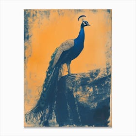 Orange & Blue Peacock On A Rock 4 Canvas Print