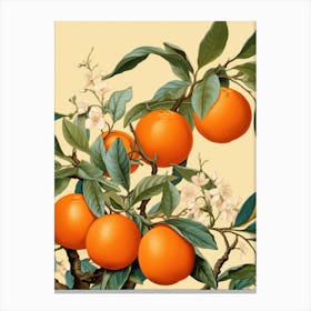 Oranges On A Tree Canvas Print