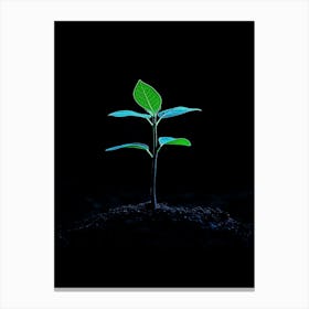 Green Plant In The Dark 9 Canvas Print