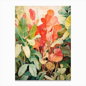 Tropical Plant Painting Ficus Canvas Print