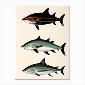 Reef Shark Vintage Poster Canvas Print