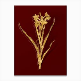 Vintage Sword Lily Botanical in Gold on Red Canvas Print