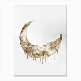 Crescent Moon 7 Canvas Print