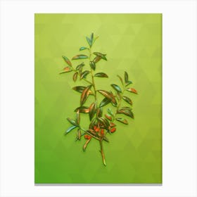 Vintage Alabama Dahoon Branch Botanical Art on Love Bird Green Canvas Print
