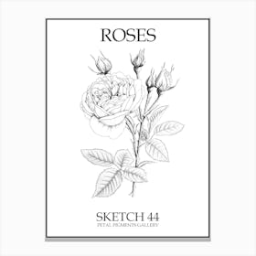 Roses Sketch 44 Poster Canvas Print