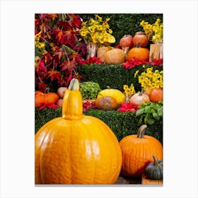 Pumpkins In A Garden Canvas Print