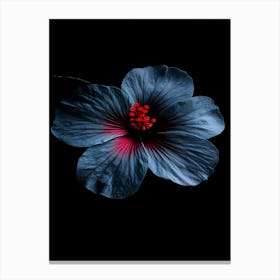 Hibiscus Flower 12 Canvas Print