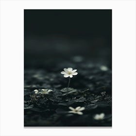 White Flower 27 Canvas Print