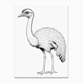 Ostrich Coloring Page Bird Wildlife Animal Drawing Canvas Print
