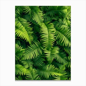 Pattern Poster Giant Chain Fern 2 Canvas Print